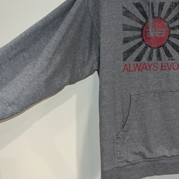 ALWAYS EVOLVING Paul Walker Distressed Flag Hoodie Throwback Logo Discontinued - Picture 3 of 7